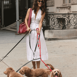 The Liv Skirt in White