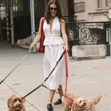 The Violet Top in White